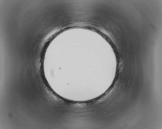 X0000112041406200909141108