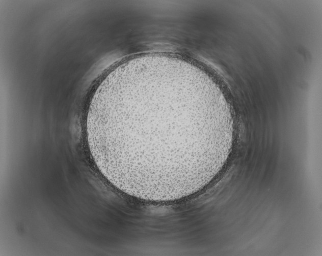 X0000112041407200909141108