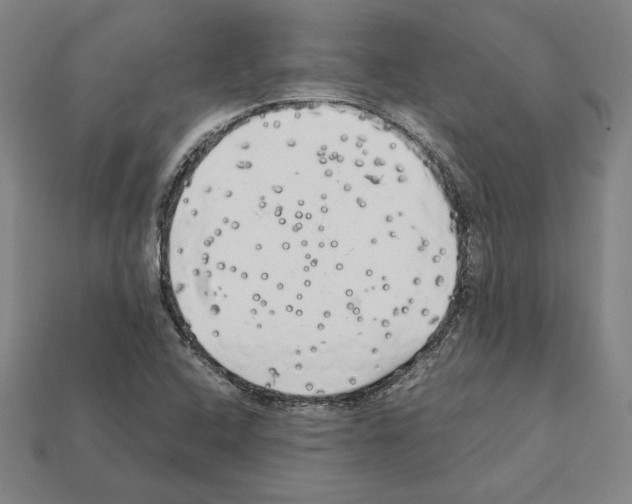 X0000112041408200909141108
