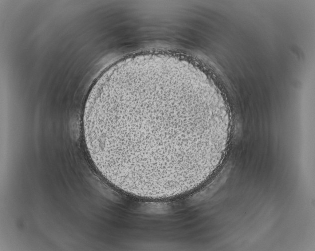 X0000112041409200909141108