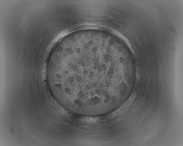 X0000112041411200909141108