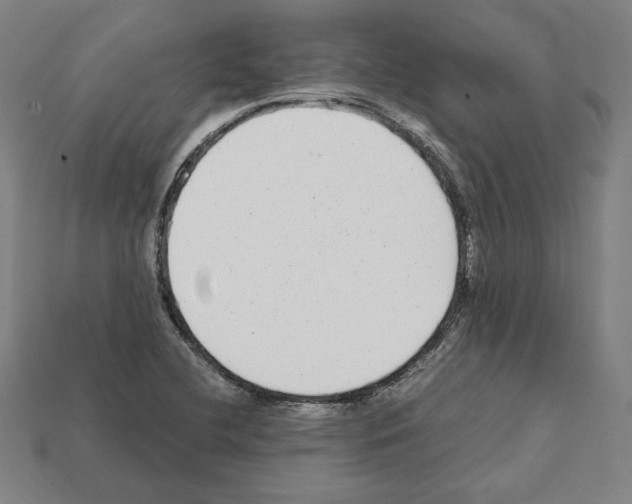 X0000112041412200909141108