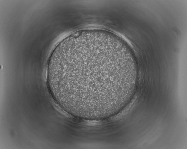 X0000112041413200909141108