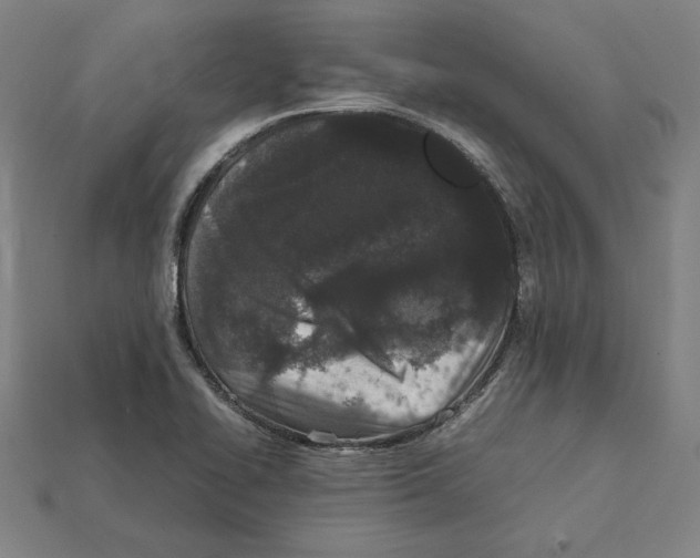 X0000112041414200909141108
