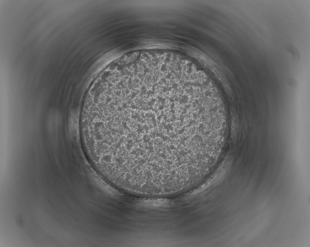 X0000112041417200909141108