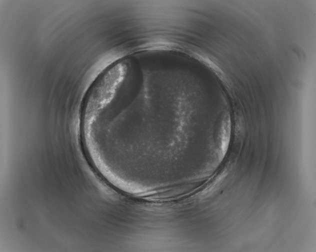 X0000112041418200909141108