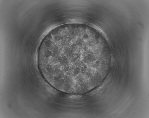 X0000112041419200909141108