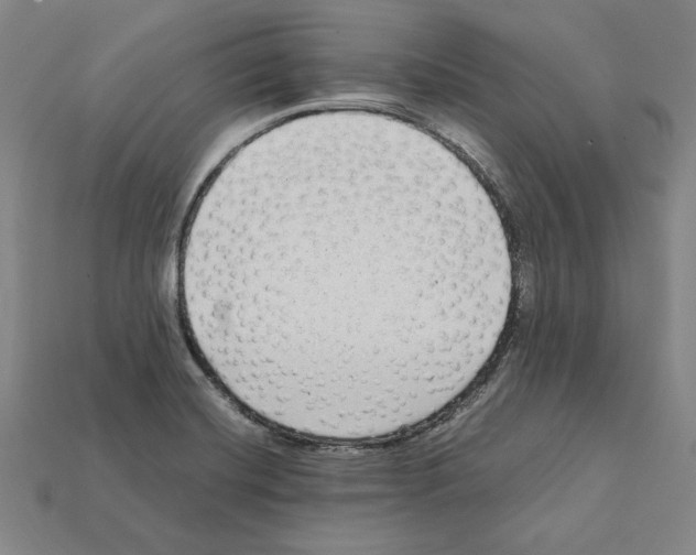 X0000112041420200909141108
