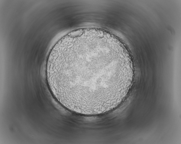 X0000112041421200909141108
