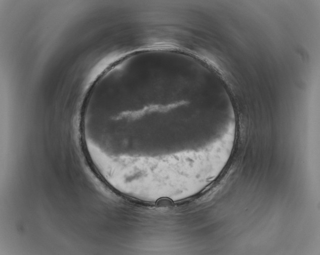 X0000112041422200909141108