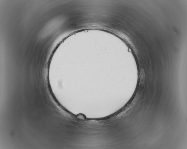 X0000112041424200909141108