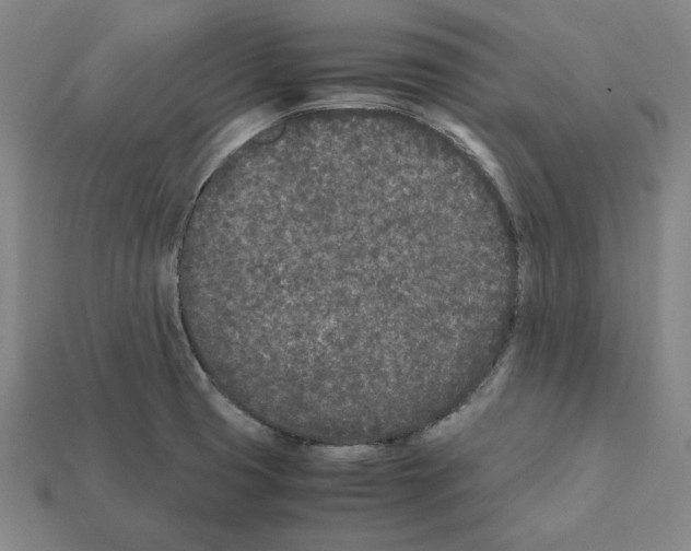 X0000112041425200909141108