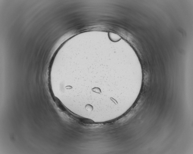 X0000112041426200909141108