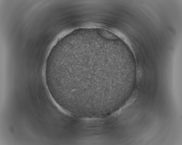 X0000112041429200909141108