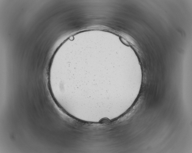 X0000112041430200909141108