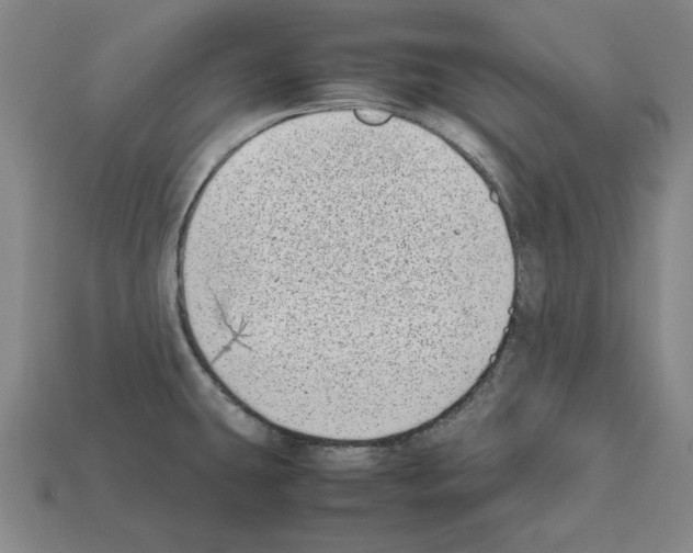 X0000112041431200909141108