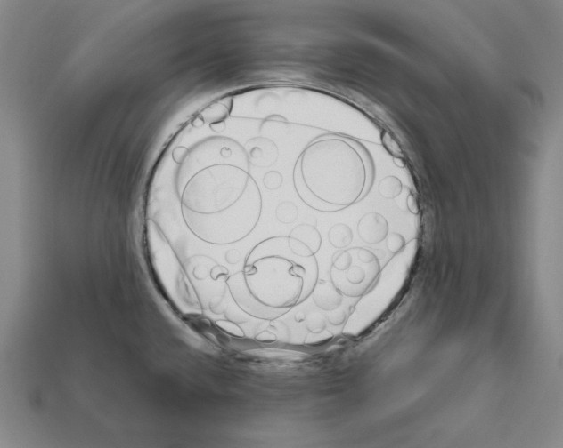 X0000112041432200909141108