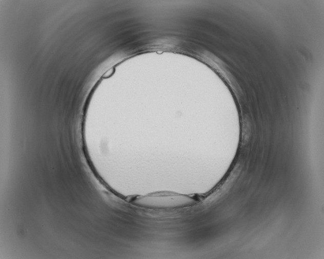 X0000112041434200909141108