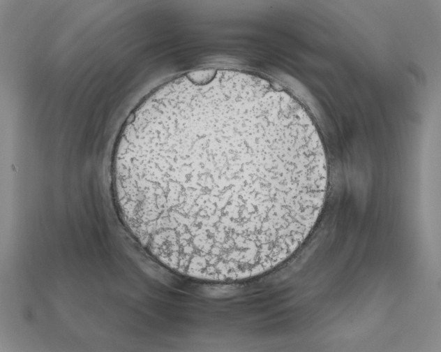 X0000112041435200909141108