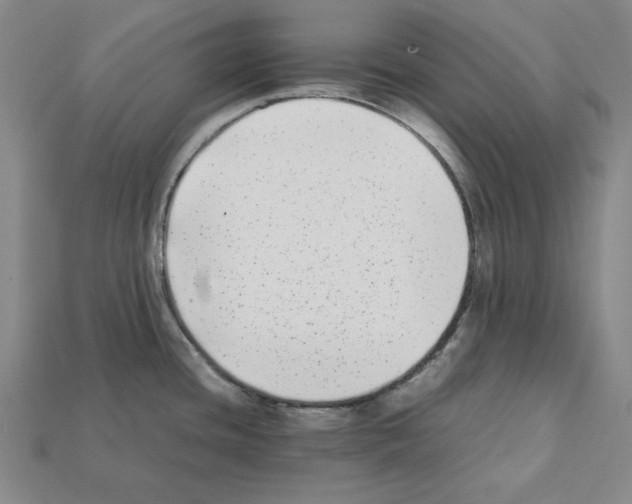 X0000112041436200909141108