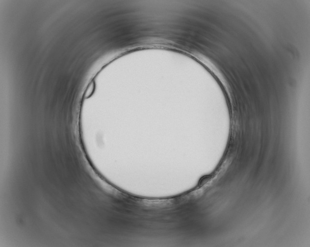 X0000112041437200909141108