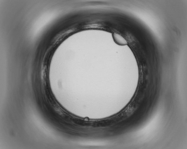 X0000112041438200909141108