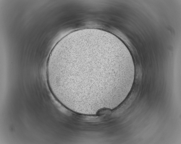 X0000112041439200909141108