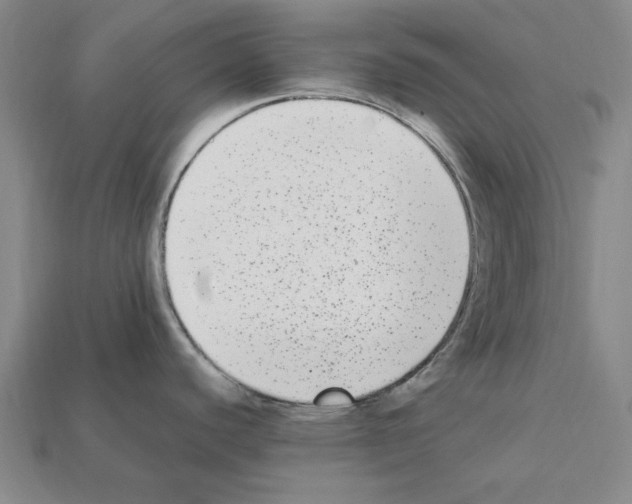 X0000112041440200909141108
