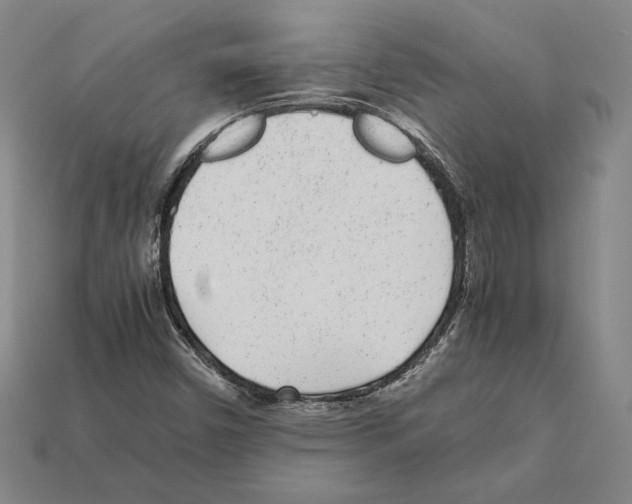 X0000112041450200909141107