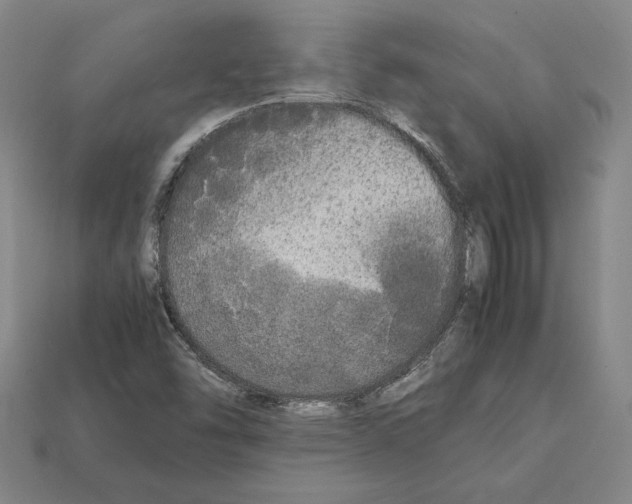 X0000112041454200909141107