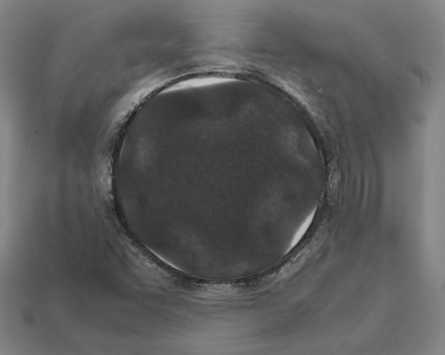 X0000112041455200909141107