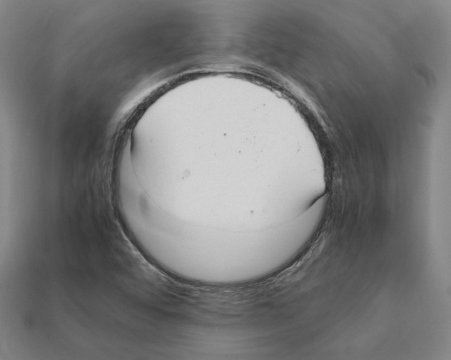 X0000112041456200909141107