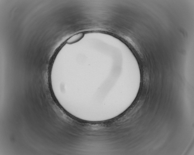 X0000112041460200909141107