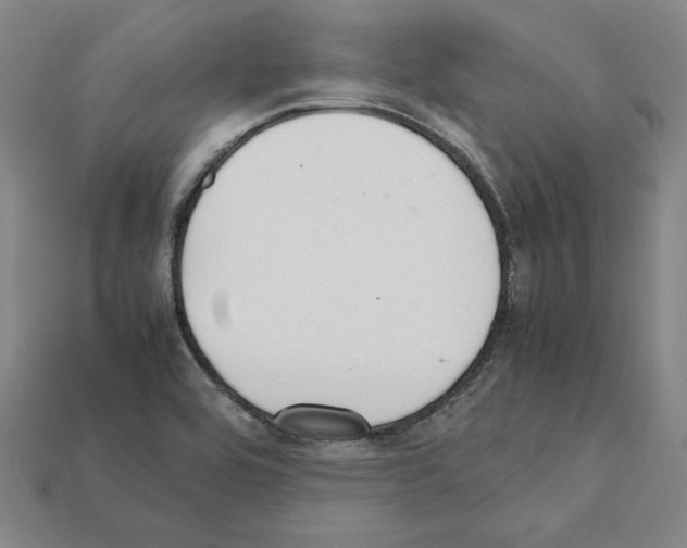 X0000112041464200909141107