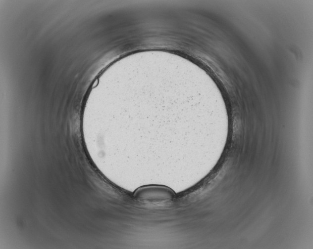 X0000112041465200909141107