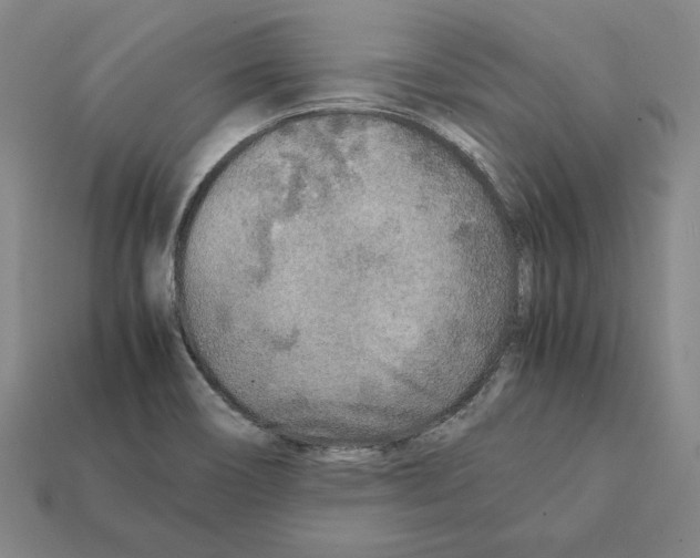 X0000112041466200909141107