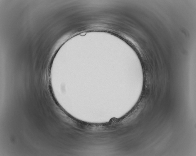 X0000112041467200909141107
