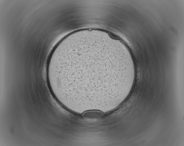 X0000112041468200909141107
