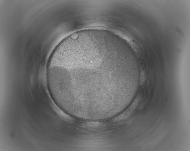 X0000112041470200909141107