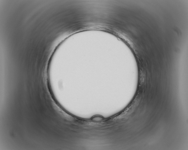 X0000112041471200909141107