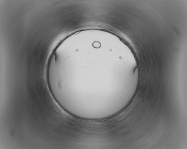 X0000112041472200909141107