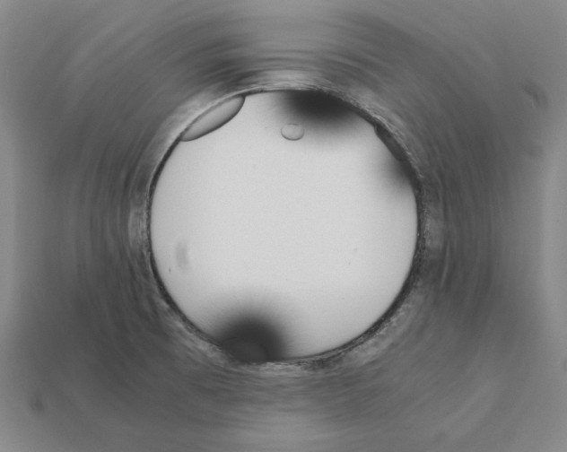 X0000112041473200909141107