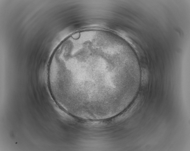 X0000112041474200909141107