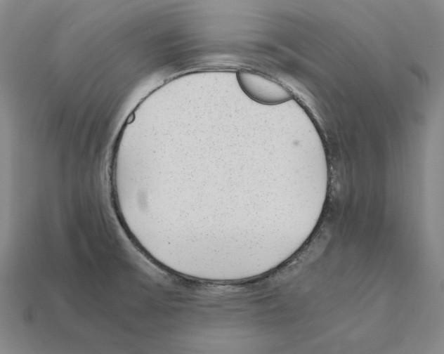 X0000112041475200909141107