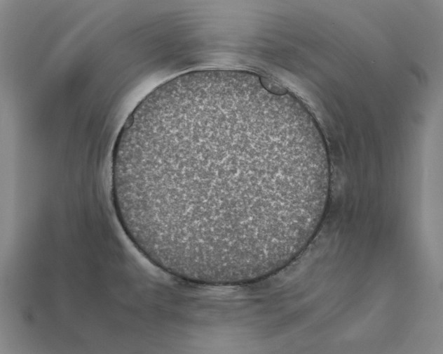 X0000112041479200909141107