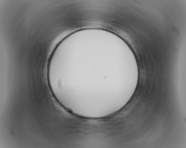 X0000112041480200909141107