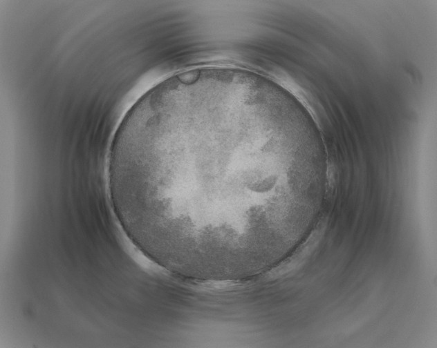 X0000112041482200909141107