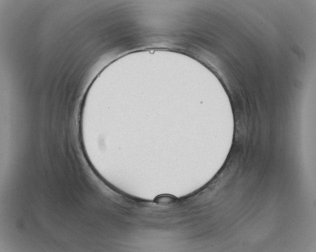 X0000112041483200909141107