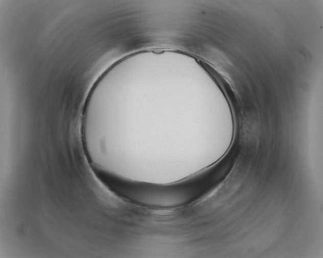 X0000112041484200909141107