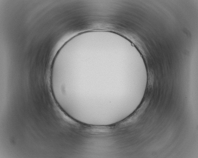 X0000112041486200909141107